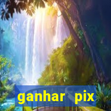 ganhar pix respondendo pesquisas